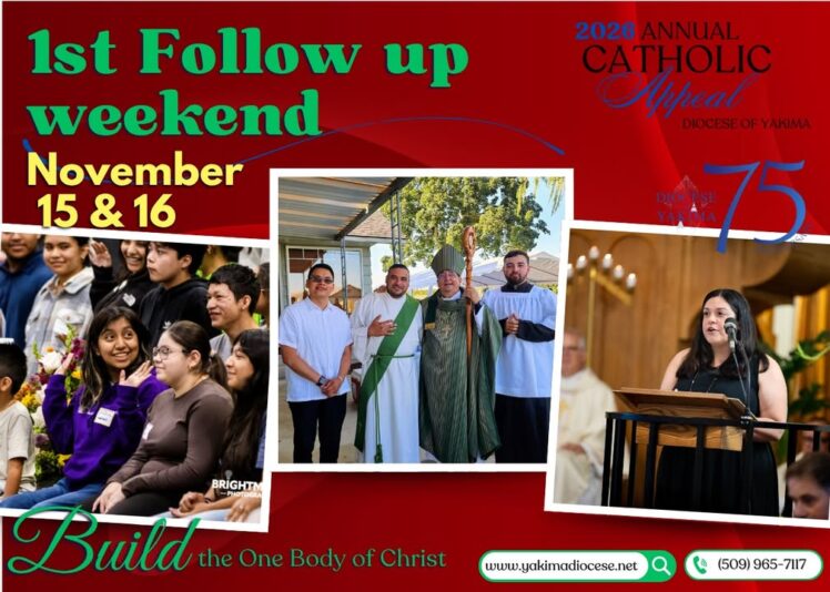 fb-171655892889402_1263974885753777