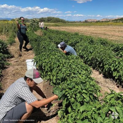 fb-178757502156824_1157916876481548