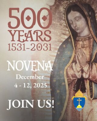 fb-254469157605_1245275234309928