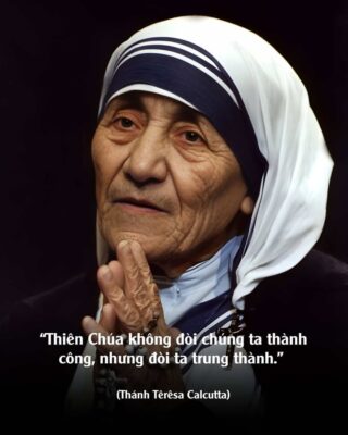 fb-732768673513037_1154112823512267