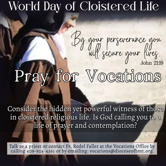 fb-147325878647167_1255842629915004