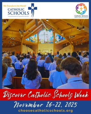 fb-178757502156824_1158566556416580