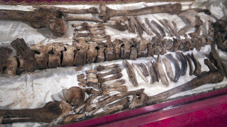 fb-436852829696793_837390518926207