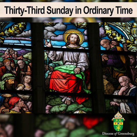 fb-178070992226049_1283546280475322