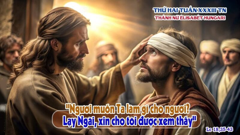 fb-585442494803518_1254475903383623