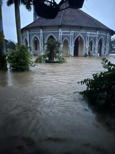 583324294_3667909626677746_5762245444346285504_n