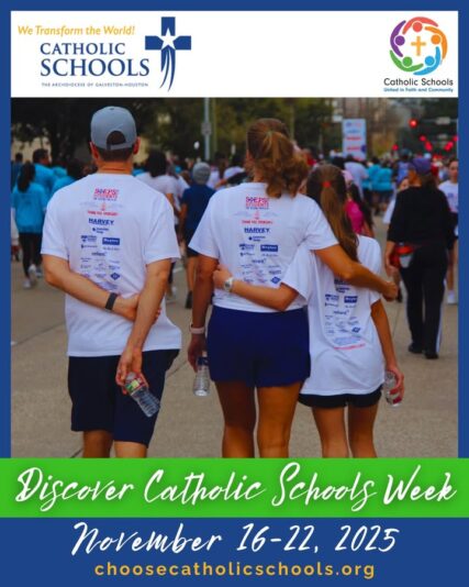 fb-178757502156824_1160060919600477