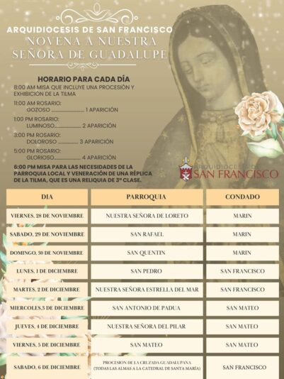 fb-349227201901874_1135084572119038