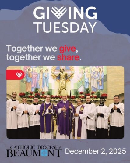 fb-147325878647167_1258217409677526