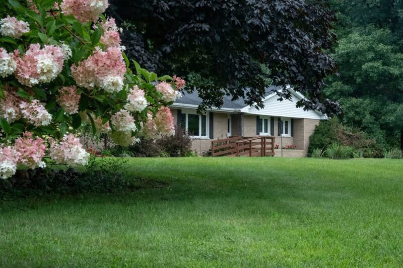 fb-210323997912_1239334671559176