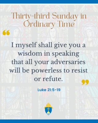 fb-254469157605_1246212334216218