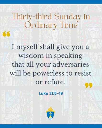 fb-254469157605_1246212334216218