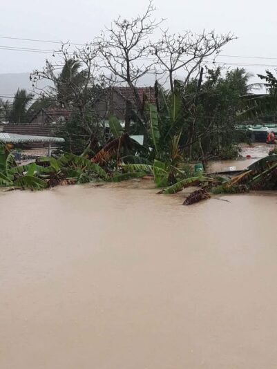 fb-122977574543611_1179362317634577