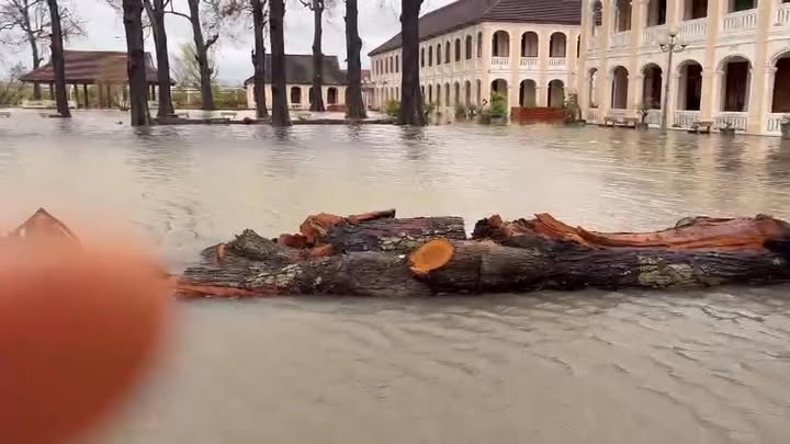 fb-122977574543611_1178982921005850