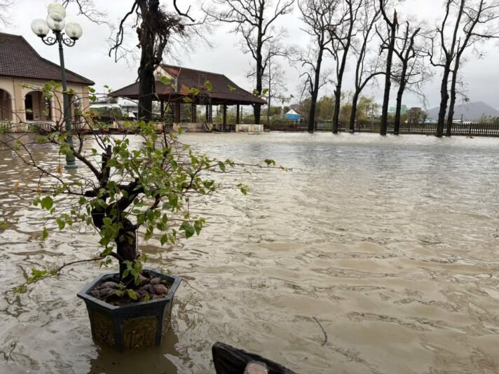 fb-122977574543611_1178982921005850