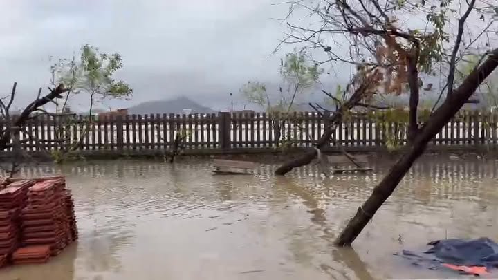 fb-122977574543611_1178982921005850