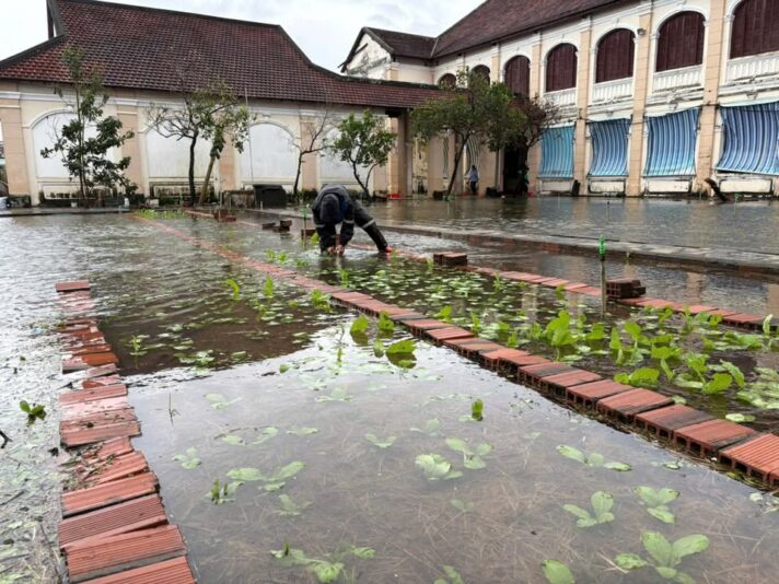 fb-122977574543611_1178982921005850