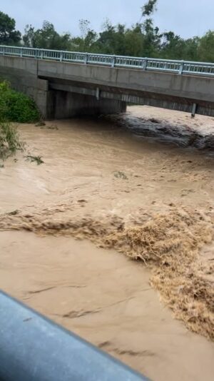 fb-122977574543611_1178847664352709