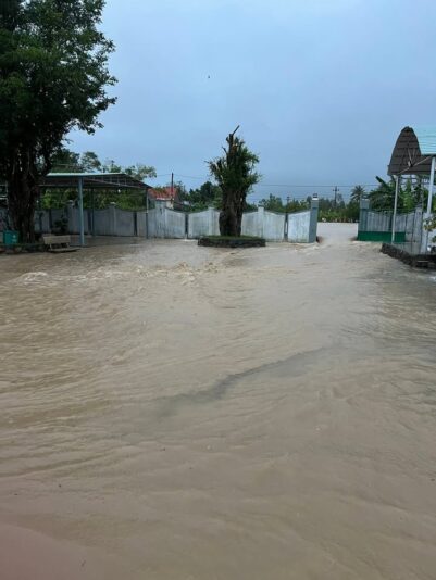 fb-122977574543611_1178847664352709