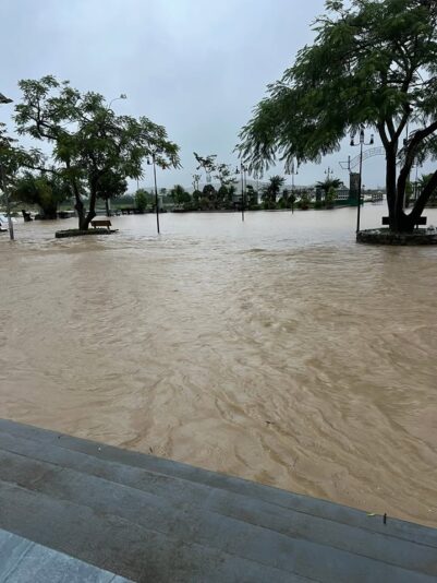 fb-122977574543611_1178847664352709