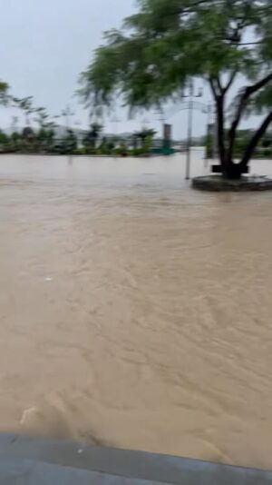 fb-732768673513037_1156649983258551