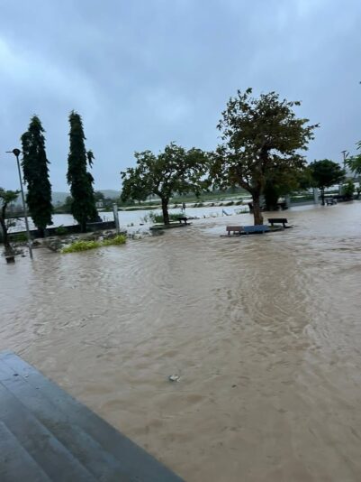 fb-122977574543611_1178847664352709