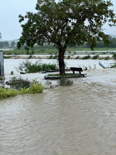 fb-122977574543611_1178847664352709