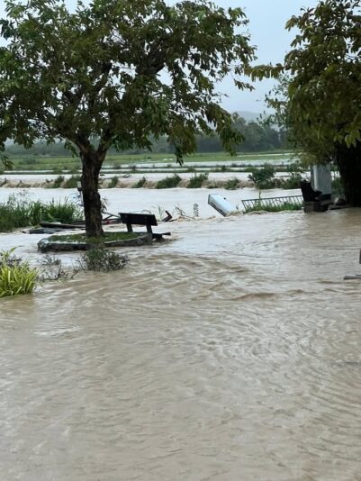 fb-122977574543611_1178847664352709