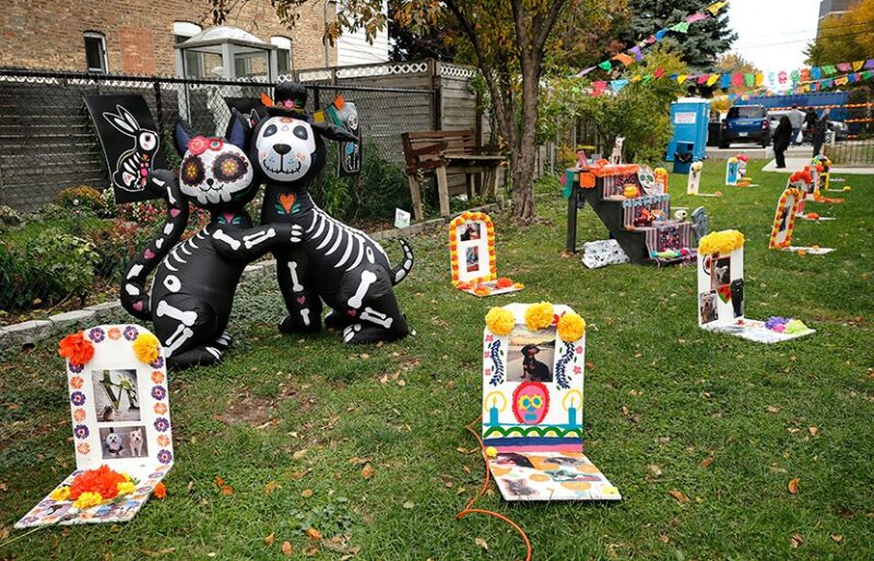 fb-127530903940386_1309499781208637