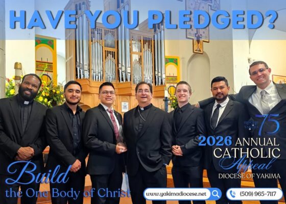 fb-171655892889402_1264801105671155