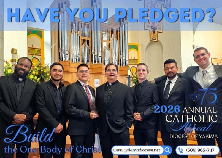 fb-171655892889402_1264801105671155