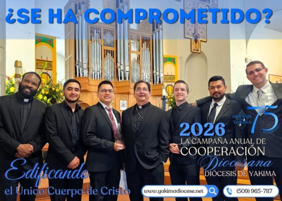 fb-171655892889402_1264801849004414