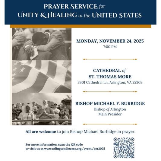 fb-162230245392_1302289565268296