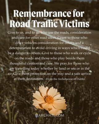 fb-358520518166_1294208199417999