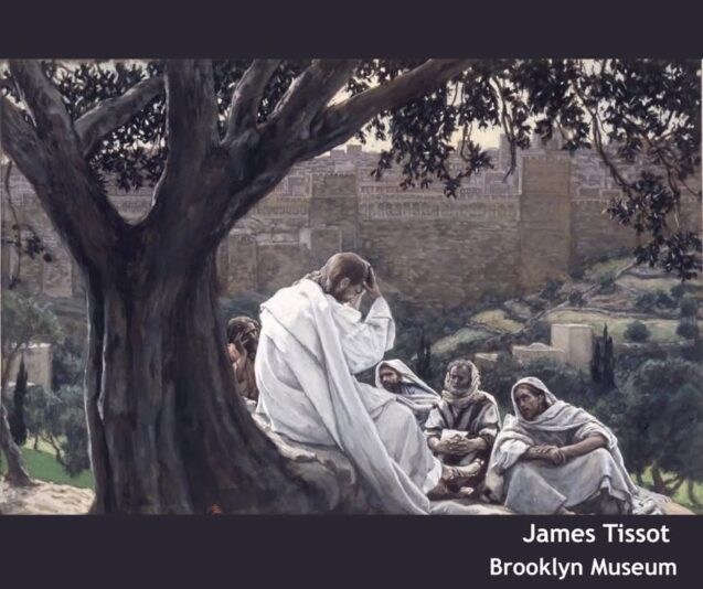 fb-101064066621857_1160027399586518