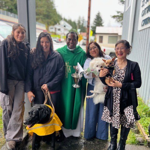 fb-115048641846447_1273749094794061