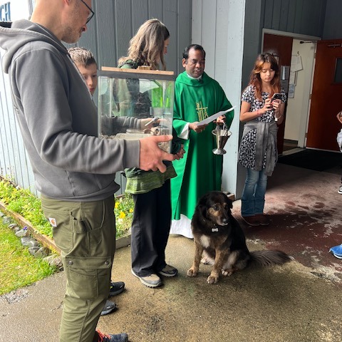 fb-115048641846447_1273749094794061