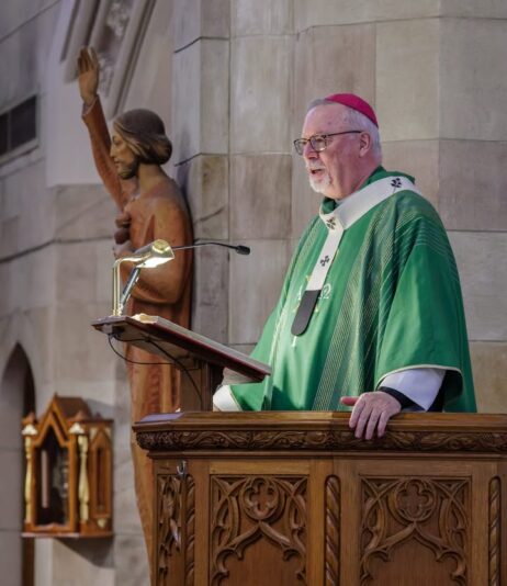 fb-424801330909662_1275199014633773