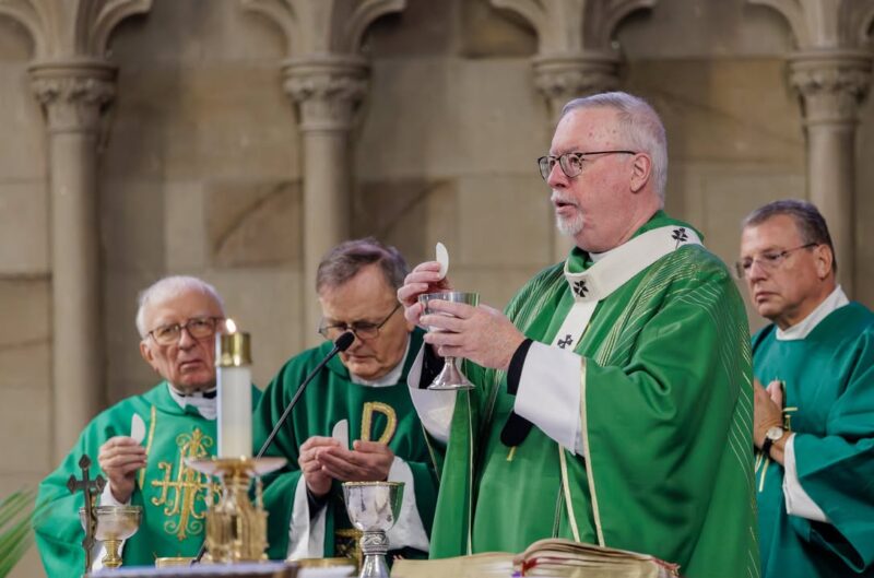 fb-424801330909662_1275199014633773