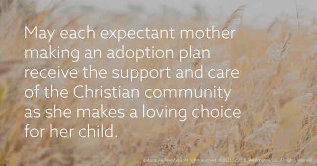 fb-313158165452988_1287920506713232