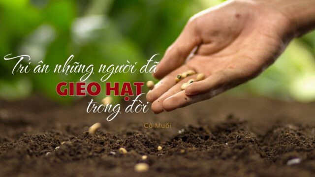 fb-732768673513037_1157436063179943