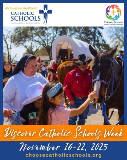 fb-178757502156824_1161500806123155