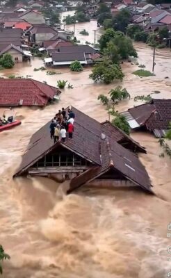 fb-436852829696793_840829768582282