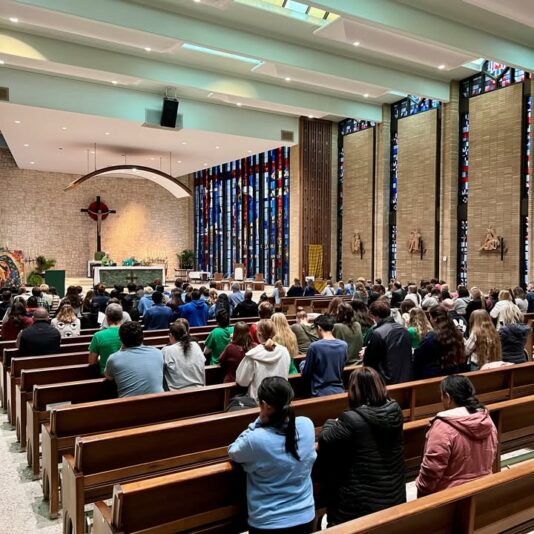 fb-355703527834405_1307784914725644