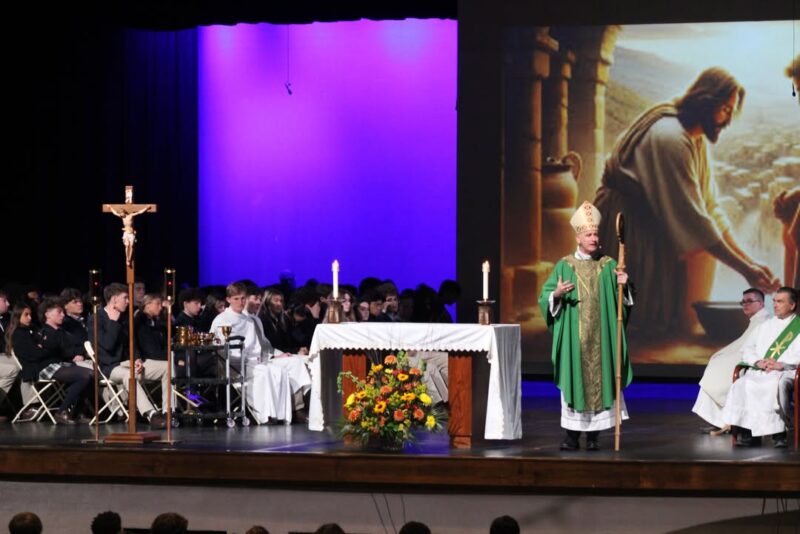 fb-1094082193990443_1299298402239960