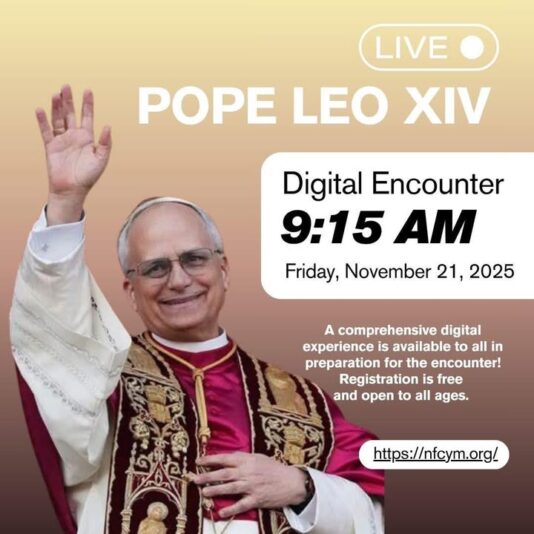 fb-695846880481318_829310953064335