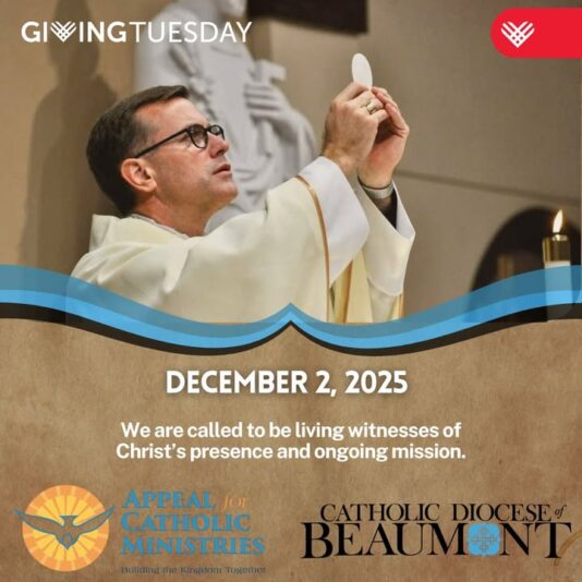 fb-147325878647167_1258955986270335