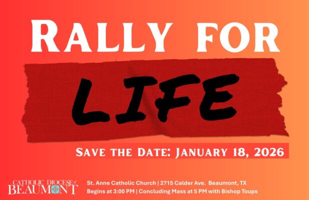 fb-147325878647167_1259035249595742