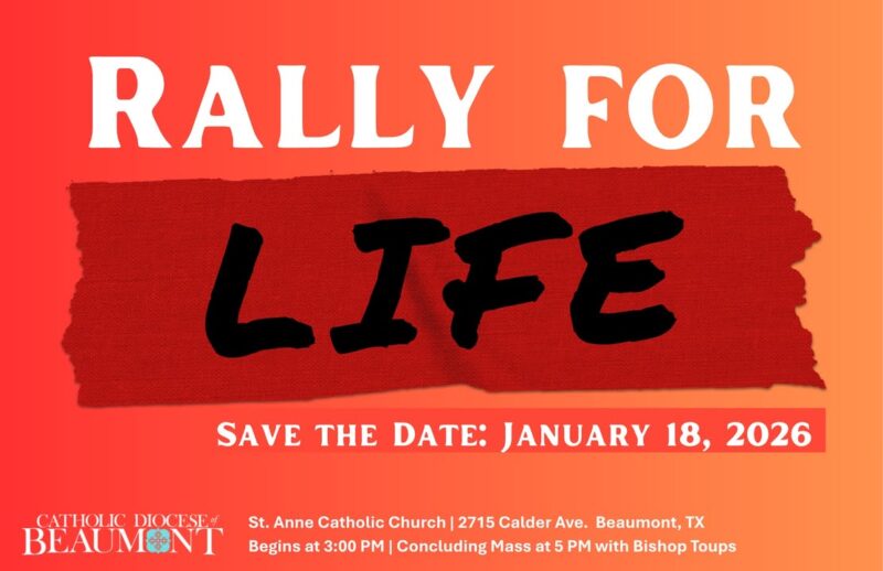 fb-147325878647167_1259035249595742