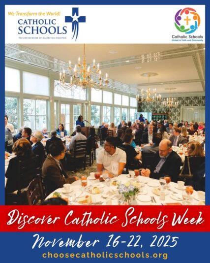 fb-178757502156824_1162318366041399